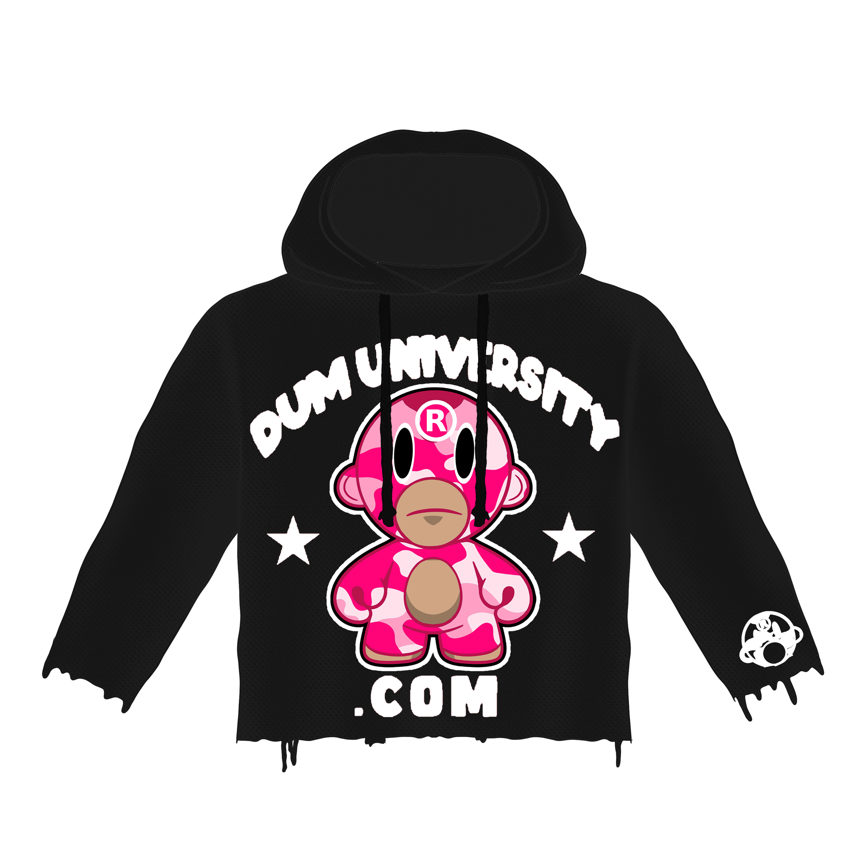 PINK DUMUNIVERSITY.COM HOODIE