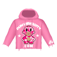 PINK DUMUNIVERSITY.COM HOODIE