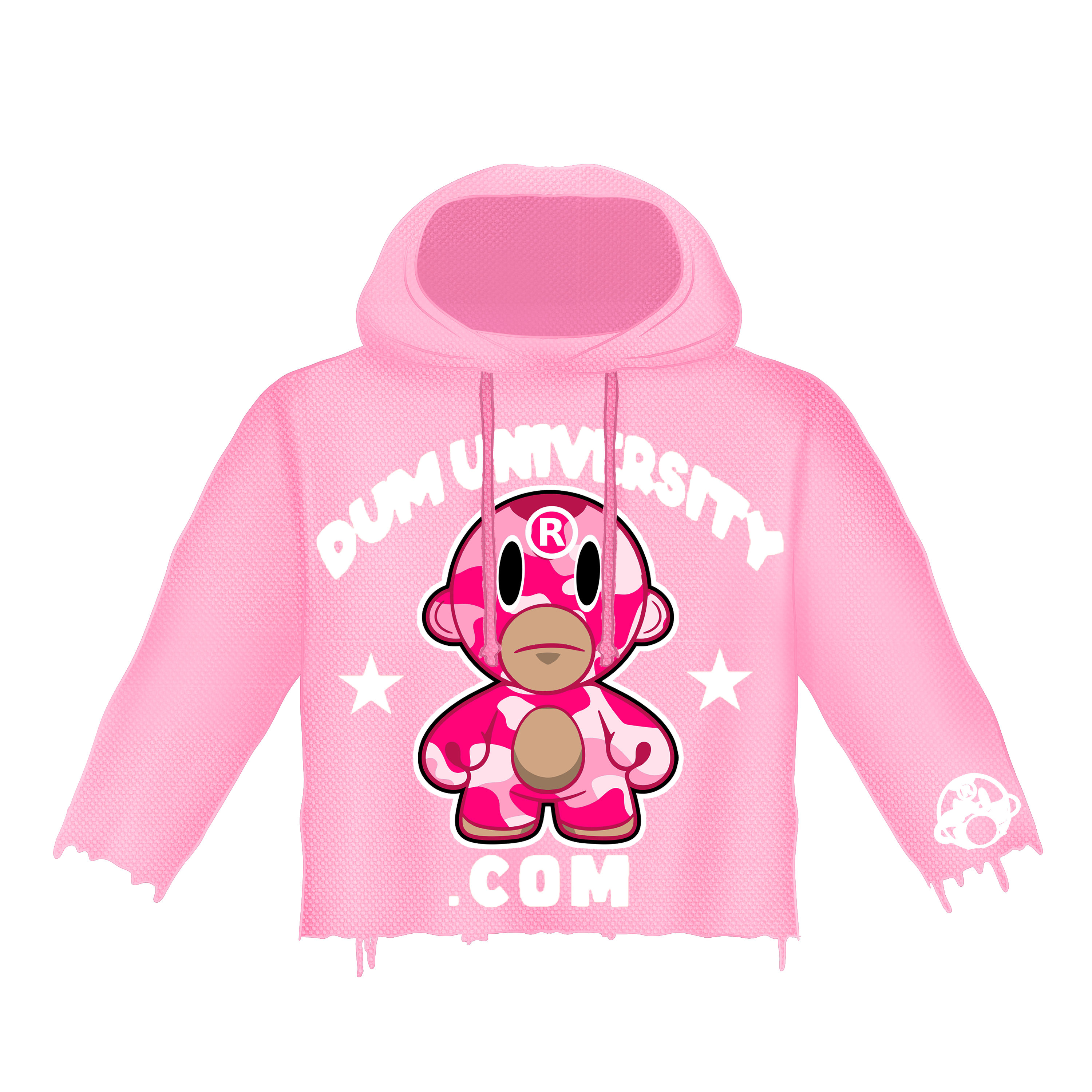 PINK DUMUNIVERSITY.COM HOODIE
