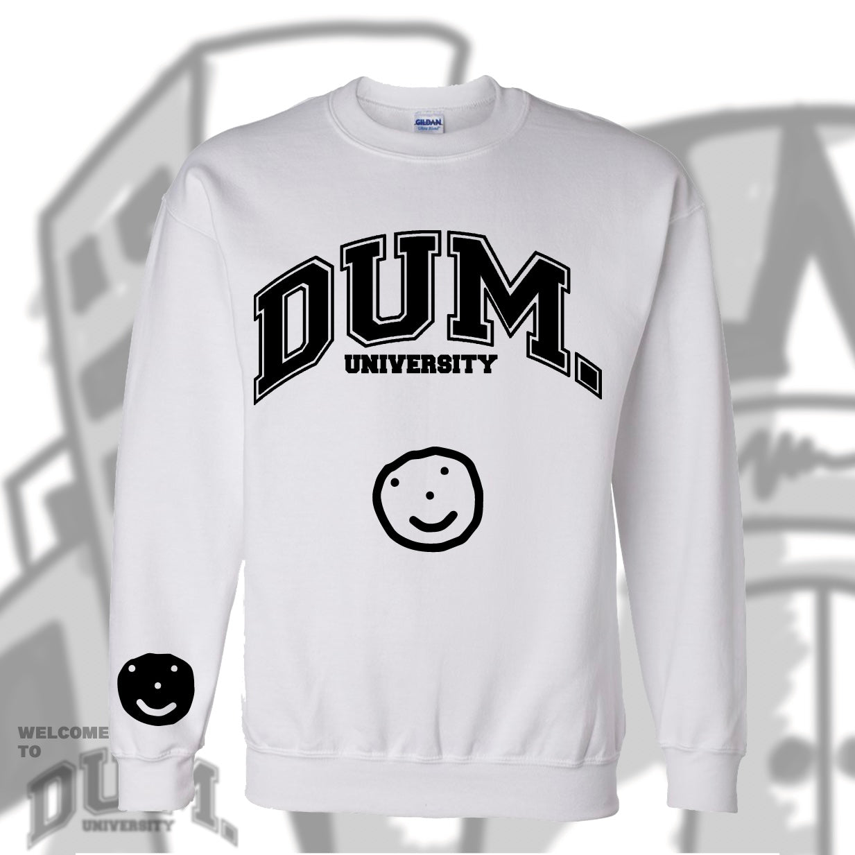 DUM UNIVERSITY SWEATER
