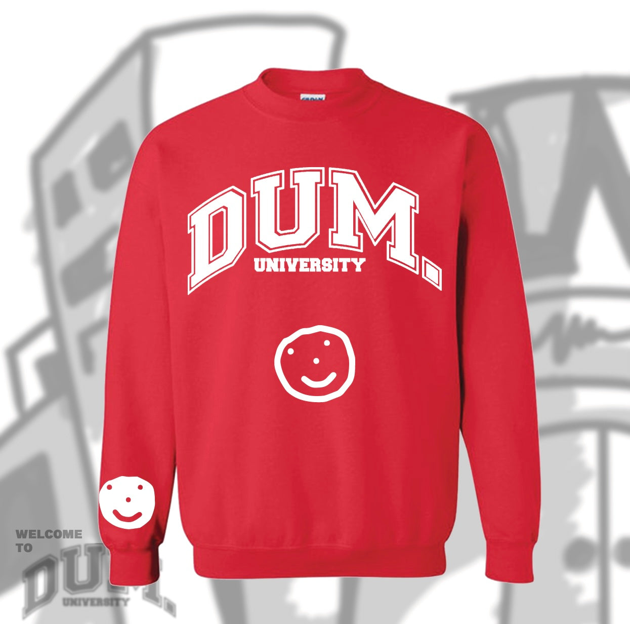 DUM UNIVERSITY SWEATER