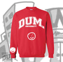 DUM UNIVERSITY SWEATER