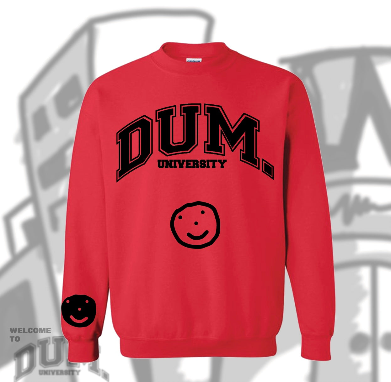 DUM UNIVERSITY SWEATER