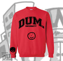 DUM UNIVERSITY SWEATER