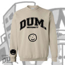 DUM UNIVERSITY SWEATER