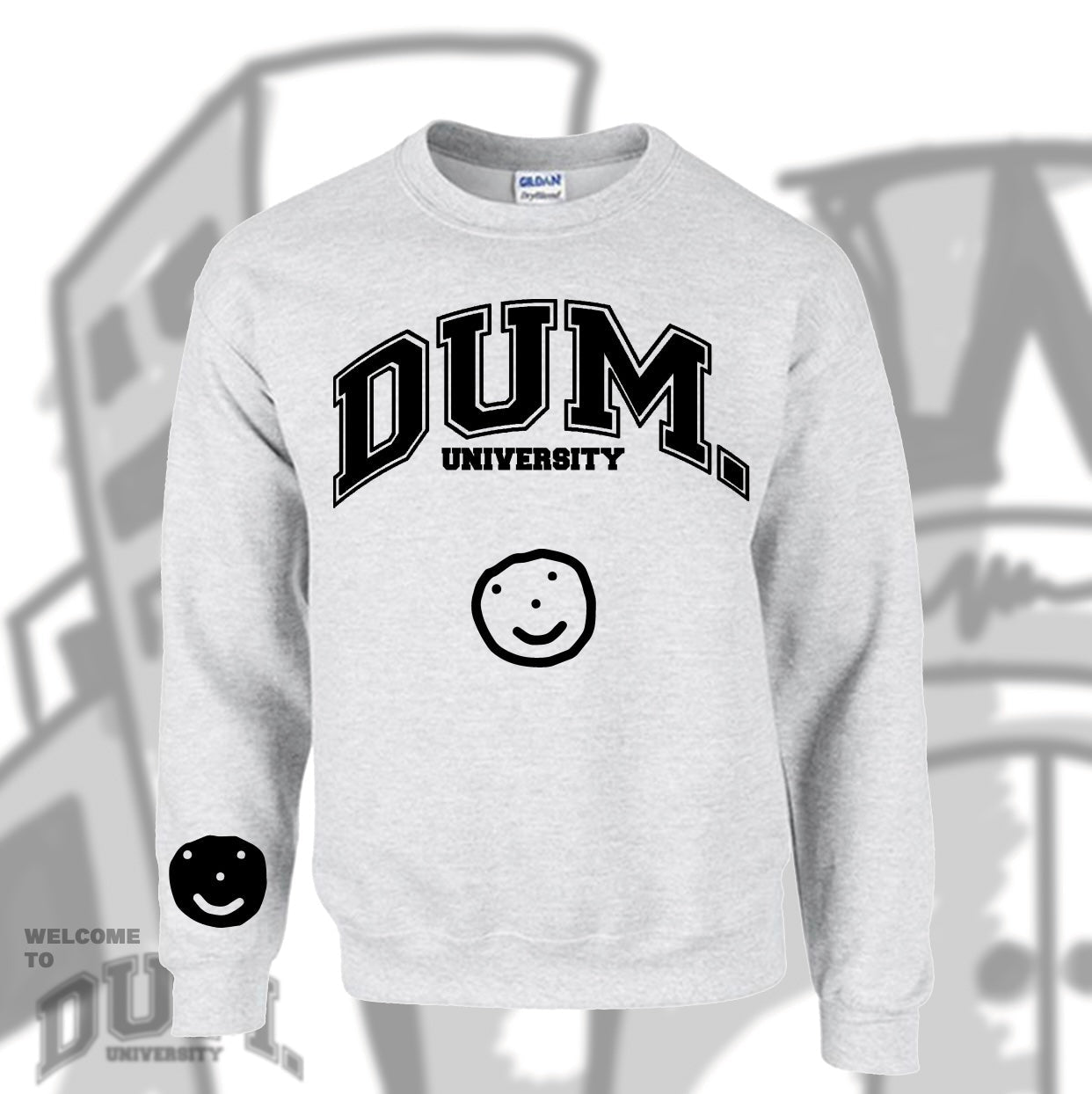 DUM UNIVERSITY SWEATER