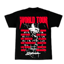 DUM WORLDTOUR TSHIRT