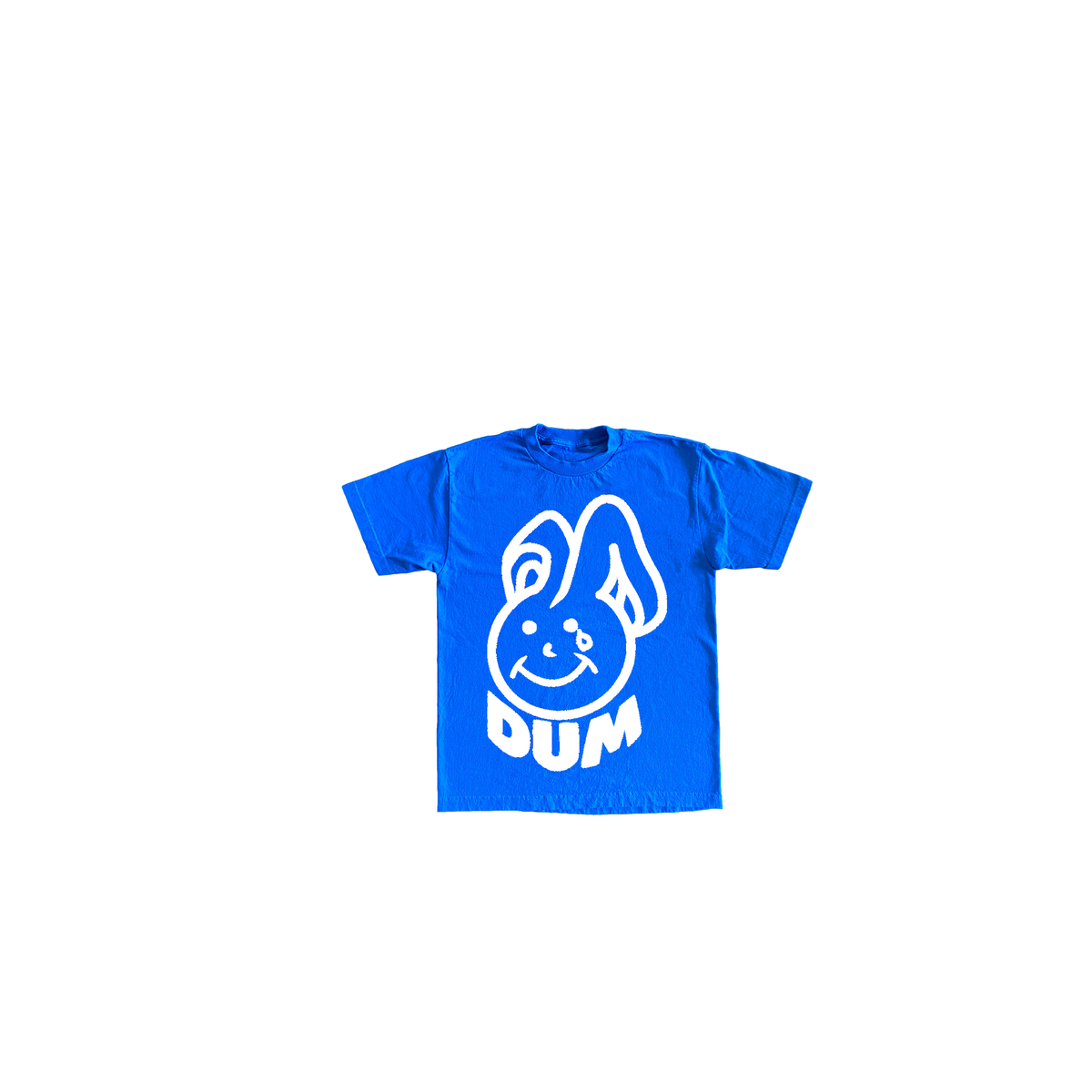 2T / BLUE