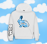 DUMSKY HOODIE