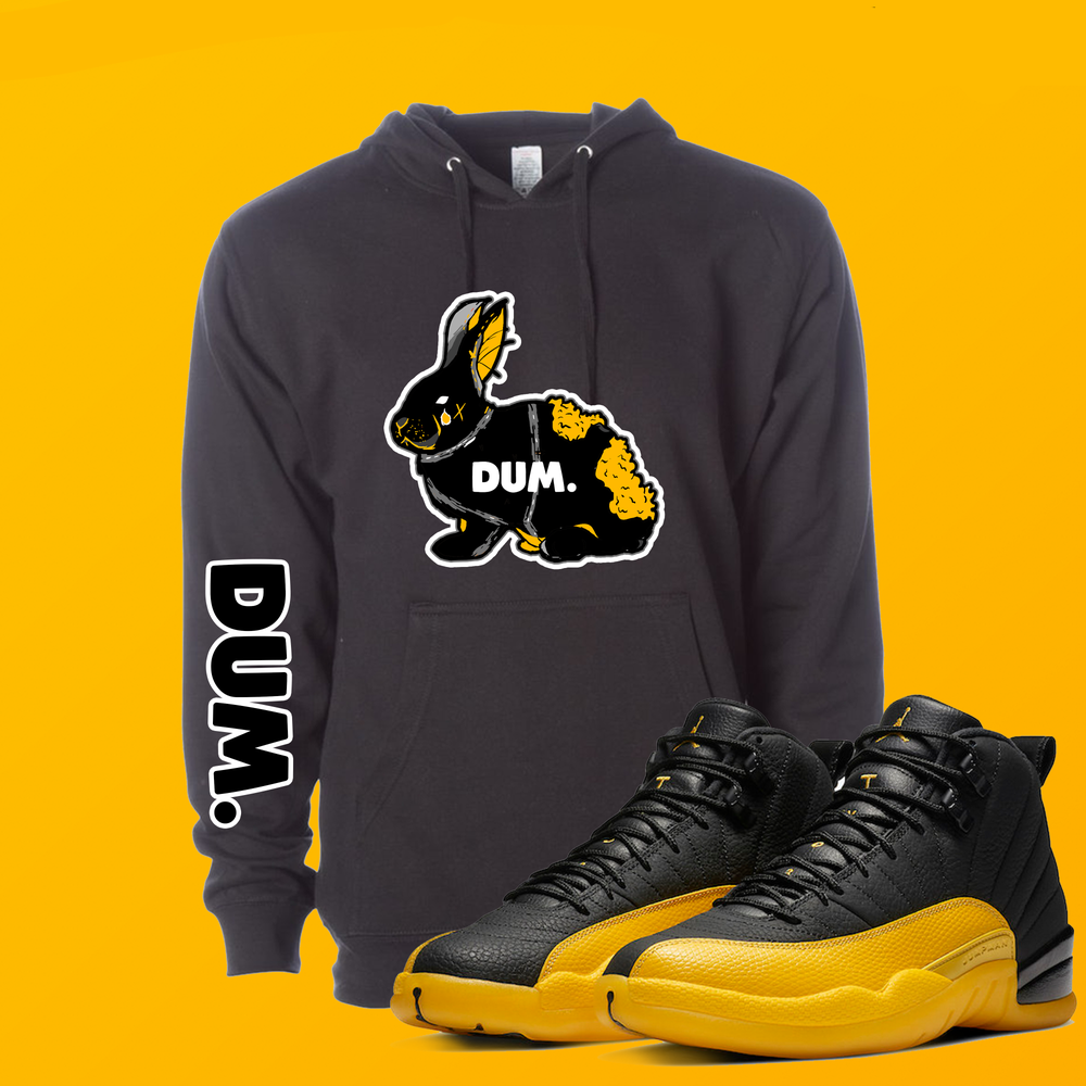 Dum 12s hoodie